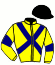 Casaque de LARAMIE ATAC