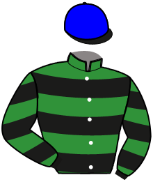 Casaque de HIT MONEY