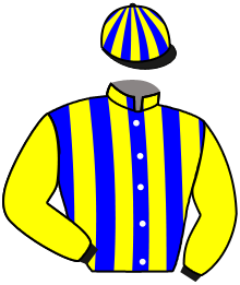 Casaque de HAYA LAND