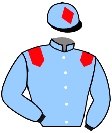 Casaque de CASTLE DE VEGUY