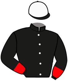 Casaque de FIRST OF MIND