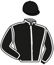 Casaque de HOTEL MYSTIC