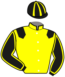 Casaque de IDEAL MOSSA