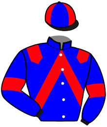 Casaque de L'ANGE DE RATILLY