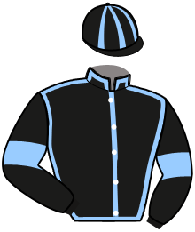 Casaque de KIWI PHIL