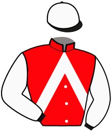 Casaque de HIDAO DE LA GOUTTE