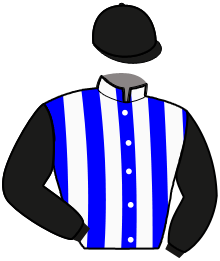 Casaque de HUDO DU RUEL