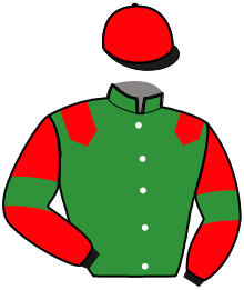 Casaque de MIZAR DU FEUILLIEN