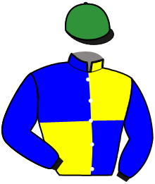 Casaque de INA MELODY