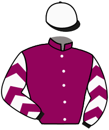 Casaque de INSIDE MONTLIOUX