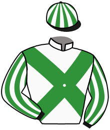 Casaque de MALFOY DE LABRUNIE