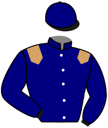 Casaque de AMERICANO