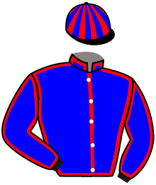 Casaque de BEAUTIFUL TIME