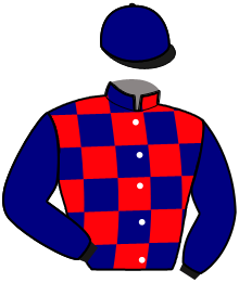 Casaque de MEMPHIS ROCK