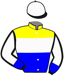 Casaque de SHE'S A WINNER