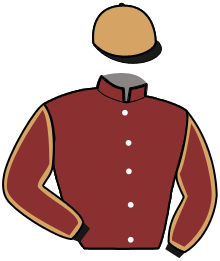 Casaque de KICK UP GEDE