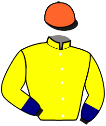 Casaque de JUANITO GOBERNA