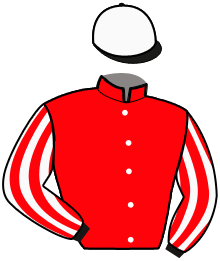 Casaque de WARRIORS WHISPER