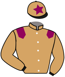 Casaque de RAYO DE LUZ