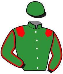 Casaque de JULIO DU RIB