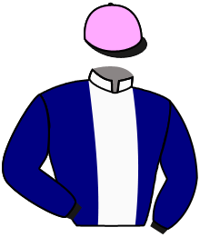 Casaque de AMERICAN PLACE