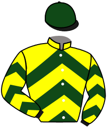 Casaque de VICTORYNOX