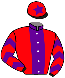 Casaque de BANKSY NOVA