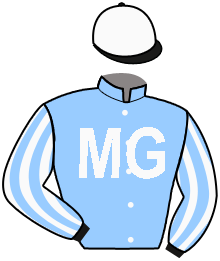 Casaque de SKIMBLESHANKS