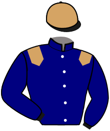 Casaque de MEMPHIS DE BRASSE