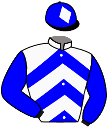 Casaque de WAY TO MARBELLA