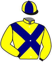 Casaque de FLYING SAUCER