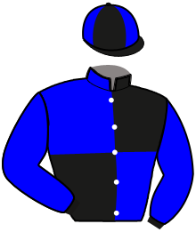 Casaque de LEADER DE SEVRE