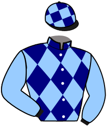 Casaque de HEROS DES MOTTES