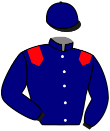 Casaque de GRAND CHELEM