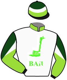 Casaque de HERMES WOOD