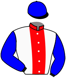 Casaque de LANDSCAPE