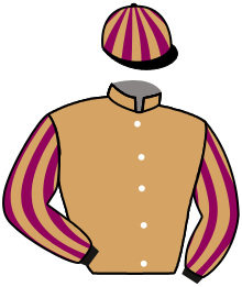 Casaque de ALLEZ DIDI