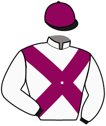 Casaque de WINNER HORSE