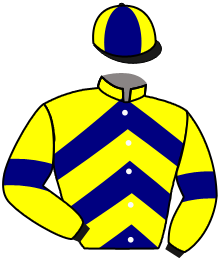 Casaque de ARMISTICE DE MAI