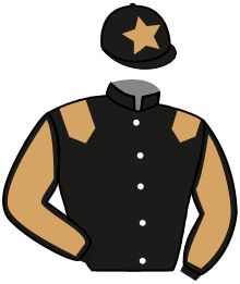 Casaque de CAVALIERE BLEUE