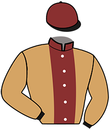 Casaque de L'ETONNANT TONIC