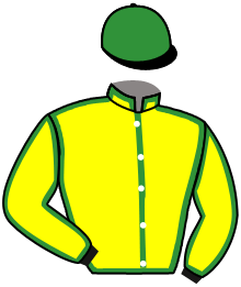 Casaque de VICTORY WIND