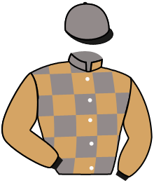 Casaque de BLACK SPRINGS