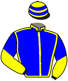 Casaque de INCREMENTAL