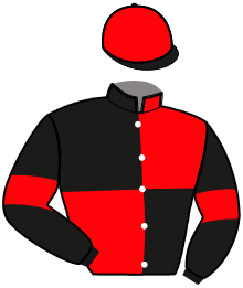 Casaque de MARIO DE SIERRA