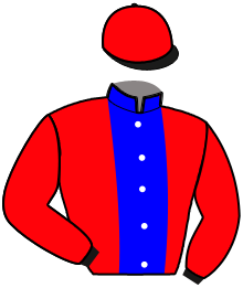 Casaque de ISBA DU DOME