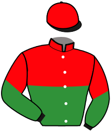 Casaque de LYNYRD SKYNYRD