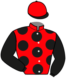 Casaque de MORICCONE DAIRPET