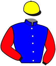 Casaque de HOTLINE JAVANAISE