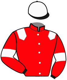 Casaque de LORD OF THE RINGS